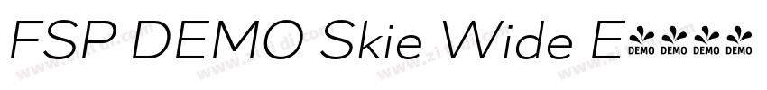 FSP DEMO Skie Wide E字体转换